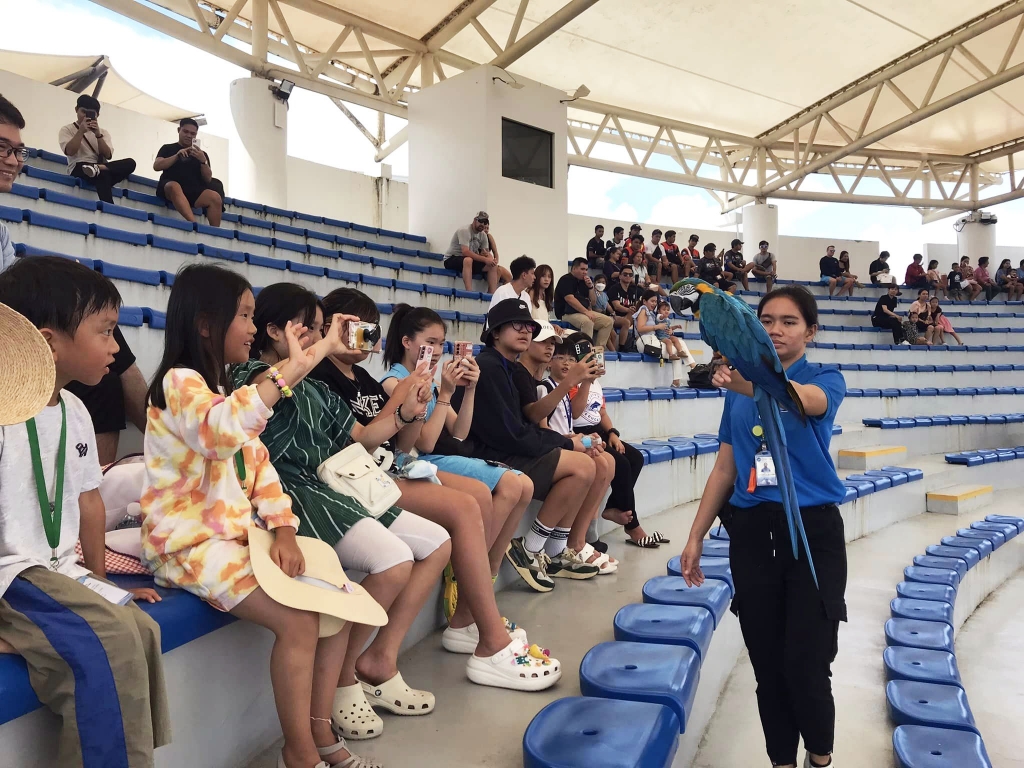 フィリピン留学 Cebu21 - Joyful Education Center-Student_s Activities-11